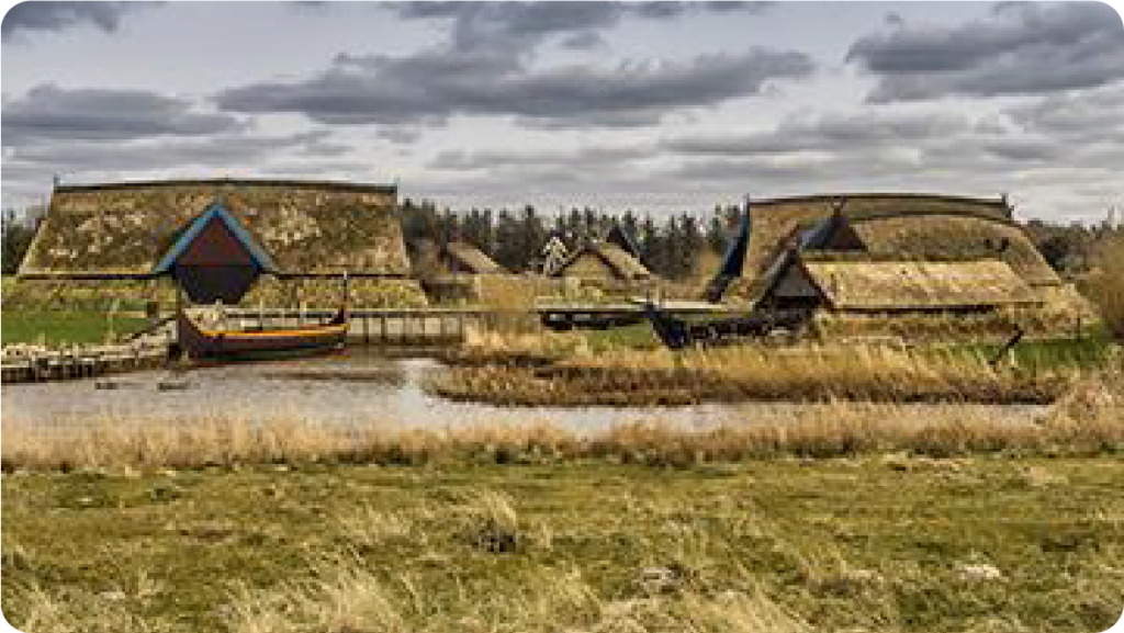 Viking life